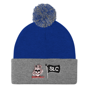 Crown Holder Pom Pom Embroidered Knit Cap in Multiple colors