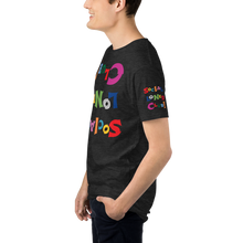 Upside Down SLC Rainbow Long Body Fly Tee